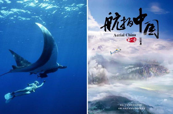 专业介绍篇丨美术专业解读之【影视摄影与制作】 专业介绍篇丨美术专业解读之【影视摄影与制作】