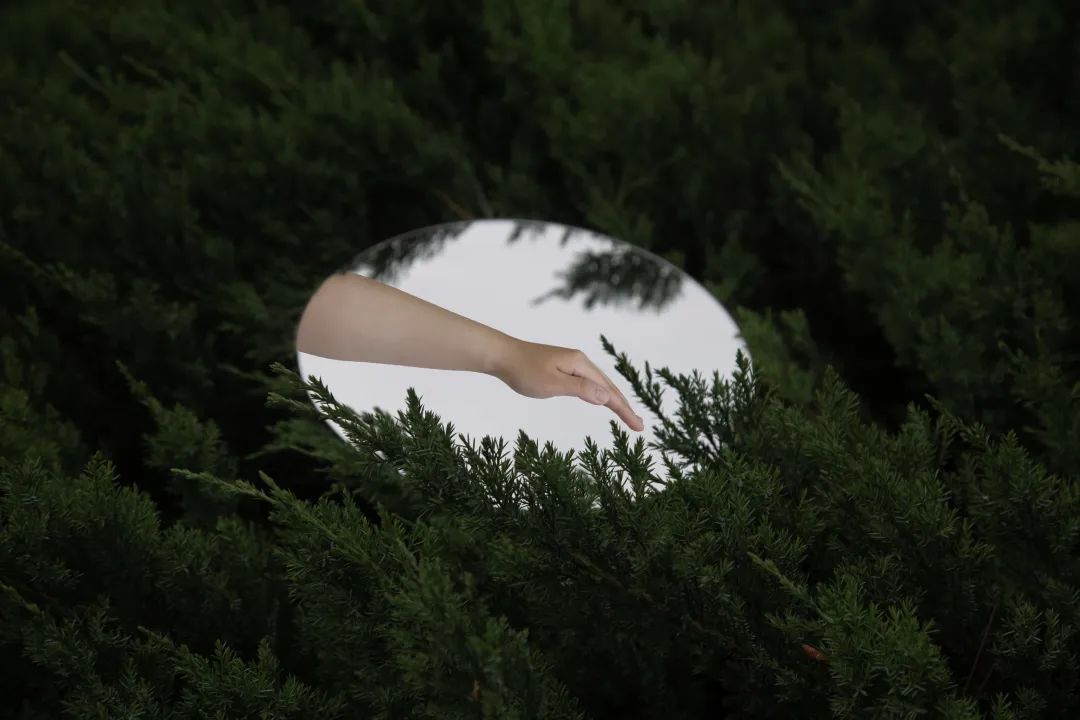 专业介绍篇丨美术专业解读之【影视摄影与制作】 专业介绍篇丨美术专业解读之【影视摄影与制作】