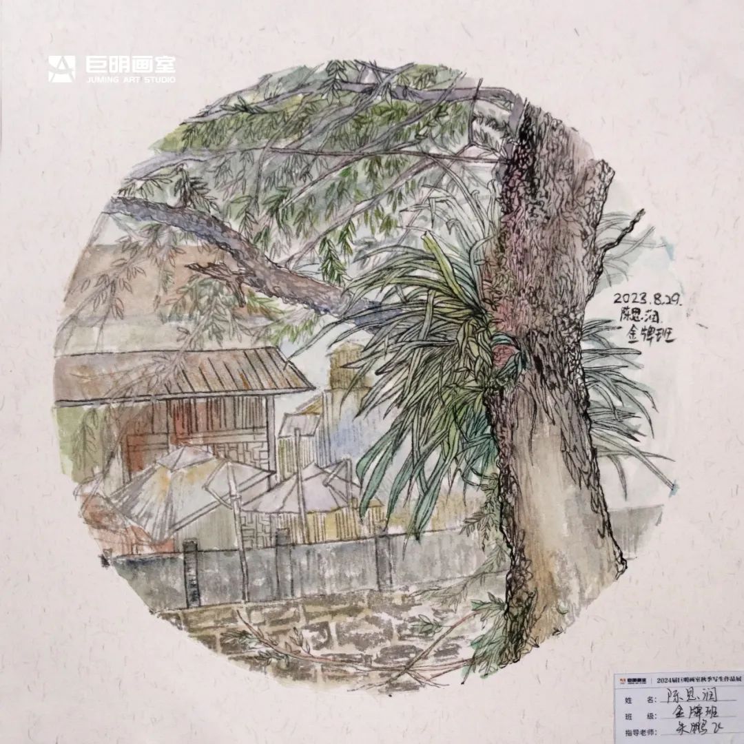 与山河拥抱，与艺术相遇丨2024届巨明画室秋季写生作品展之色彩篇