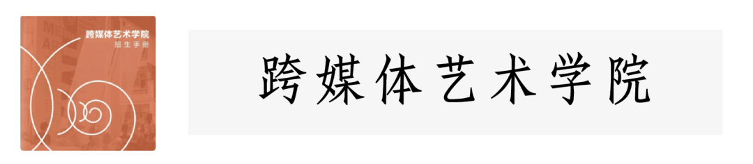 中国美术学院2024年本科招生简章 中国美术学院2024年本科招生简章