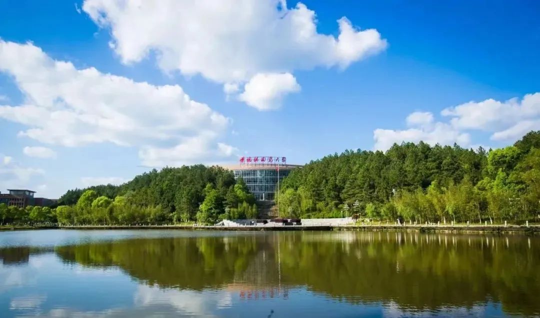 关于景德镇陶瓷大学2024年美术与设计学类校考复试的公告，复试：3月3日
