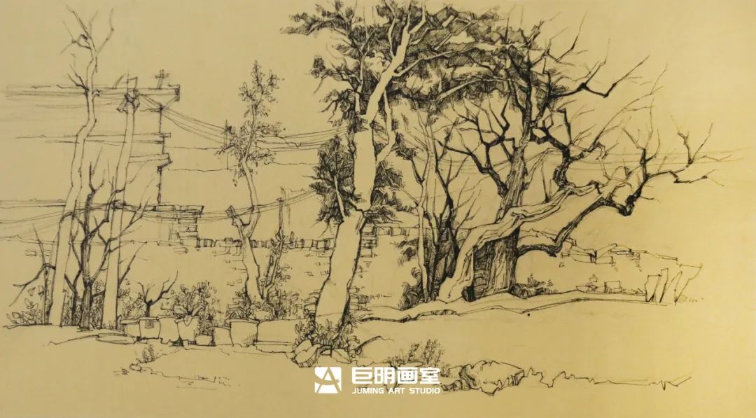 水墨上里·绘梦青春丨重庆巨明画室2025届写生作品展之速写篇