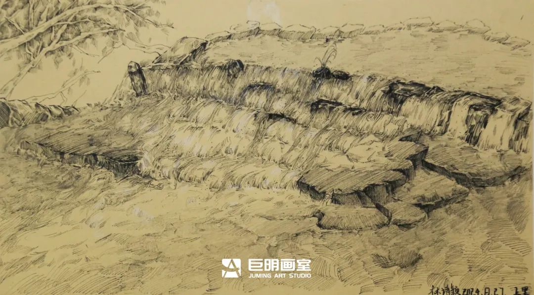 水墨上里·绘梦青春丨重庆巨明画室2025届写生作品展之速写篇
