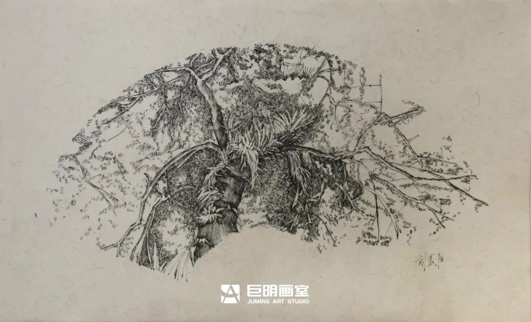 水墨上里·绘梦青春丨重庆巨明画室2025届写生作品展之速写篇