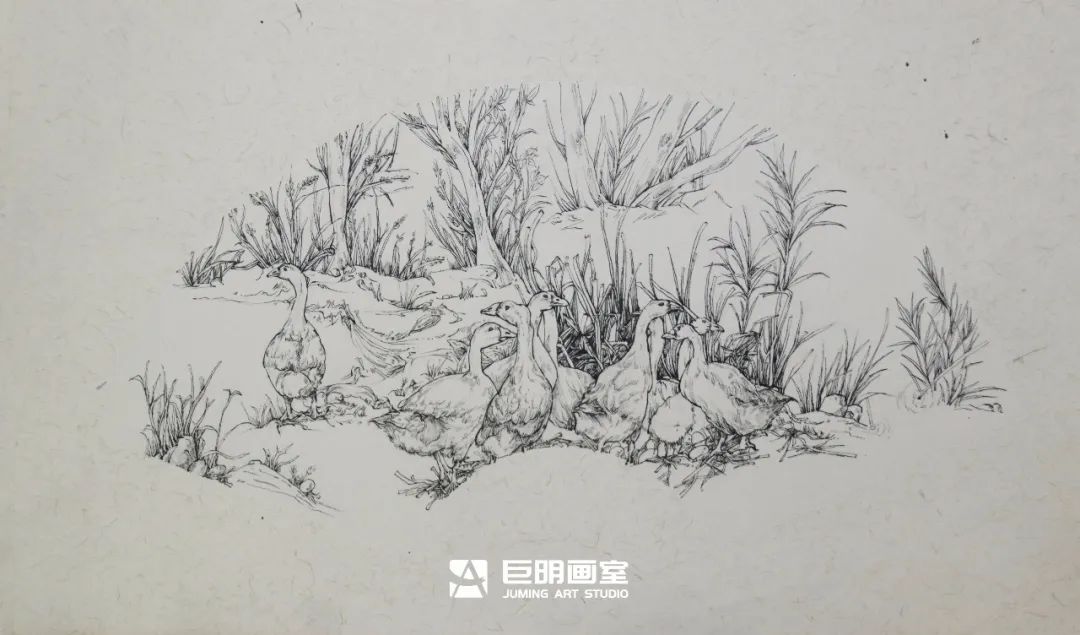 水墨上里·绘梦青春丨重庆巨明画室2025届写生作品展之速写篇