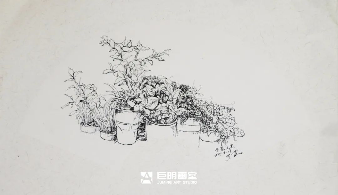水墨上里·绘梦青春丨重庆巨明画室2025届写生作品展之速写篇