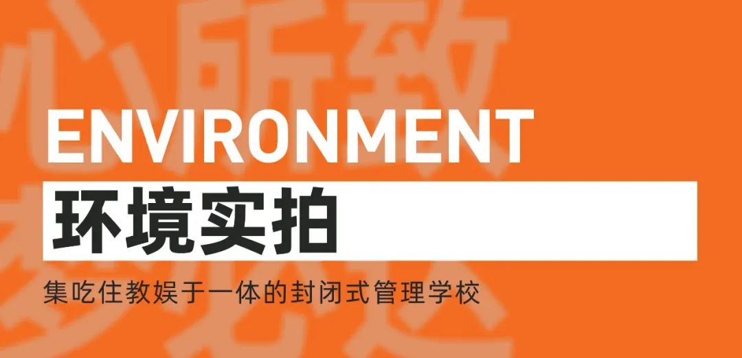 心所致，梦必达丨重庆巨明画室2026届集训招生简章