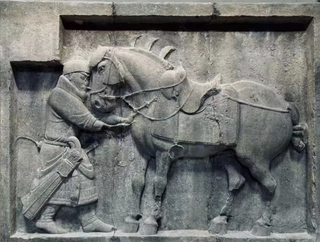 2025届陕西美术统考真题