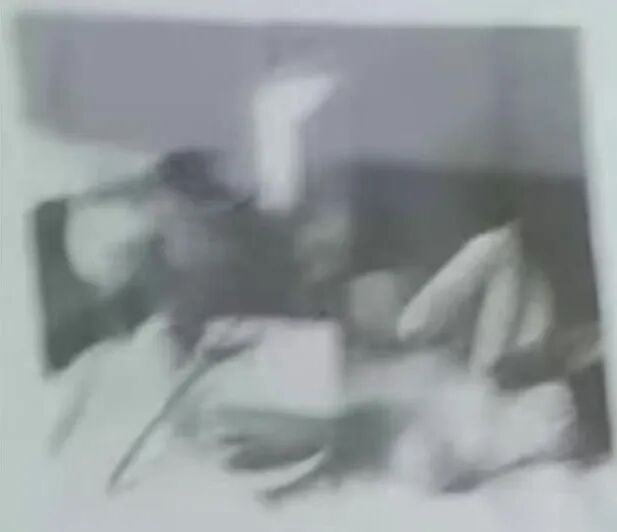 2026届美术统考真题大集结！丨26届各省美术统考咋考？真题汇总揭秘！