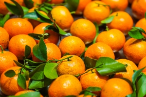 巨明，让热爱有结果丨重庆巨明画室2027届美术集训招生简章