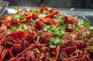 巨明，让热爱有结果丨重庆巨明画室2027届美术集训招生简章