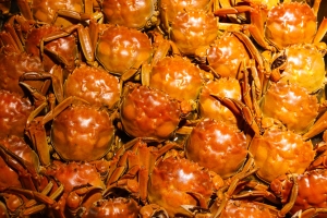 巨明，让热爱有结果丨重庆巨明画室2027届美术集训招生简章